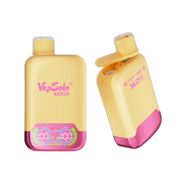vape zündschloss belegung Vapsolo Twins 20000 Puffs – Dual Flavor Disposable Vape