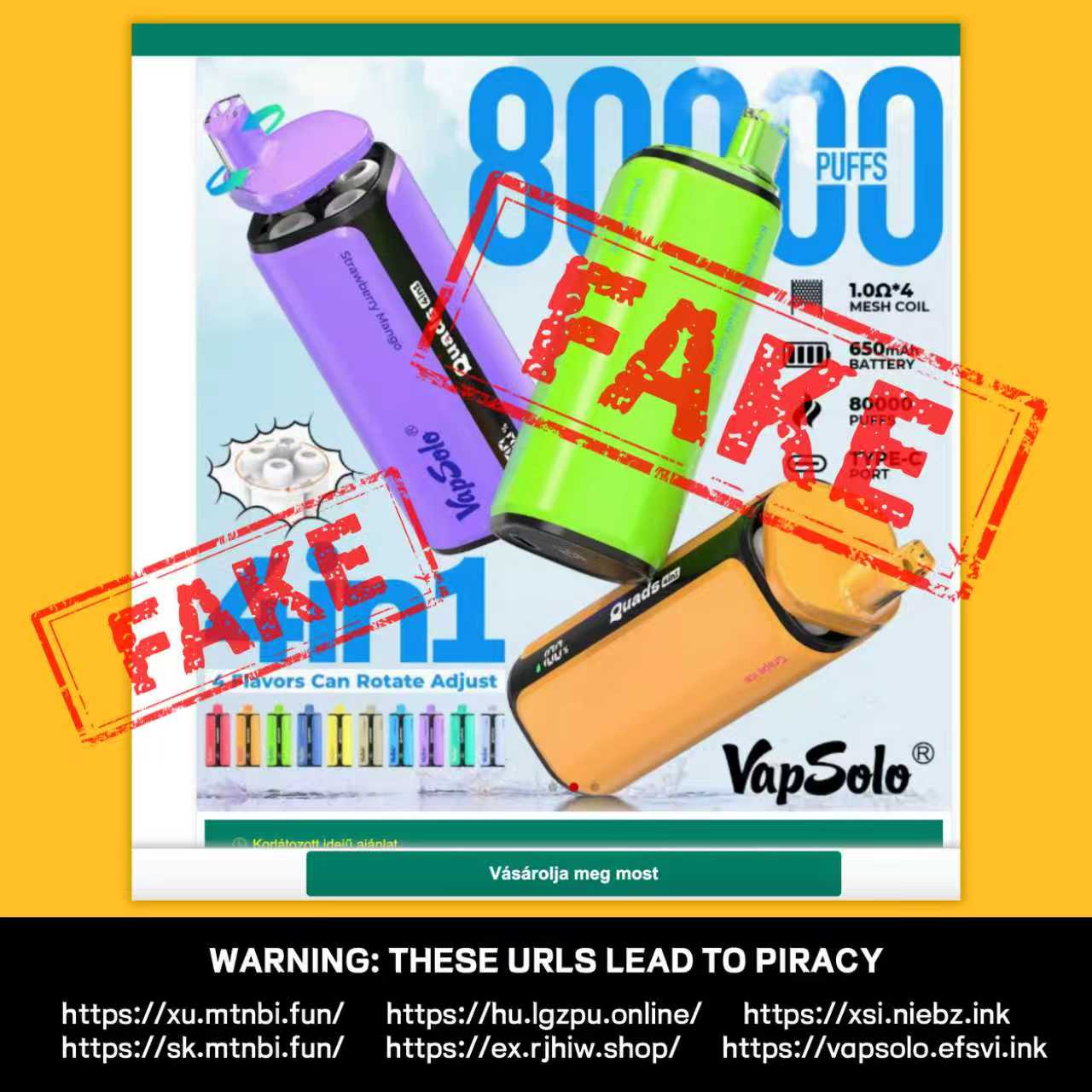 Scam website example 2