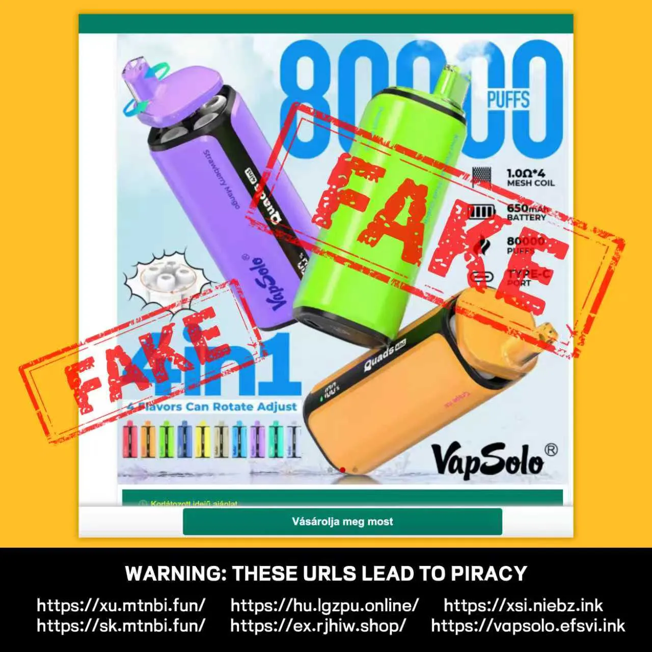 Scam website example 2