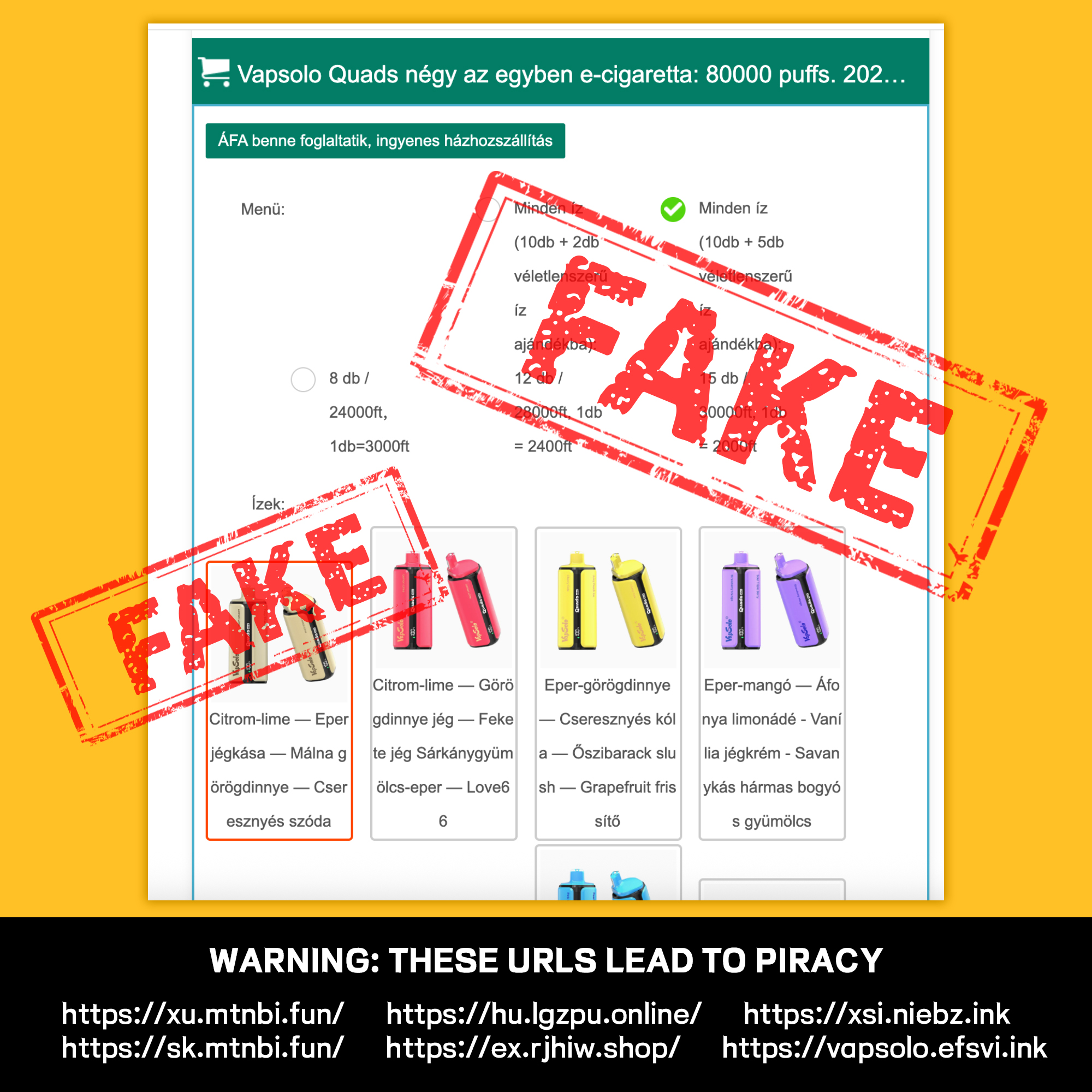 Scam website example 1