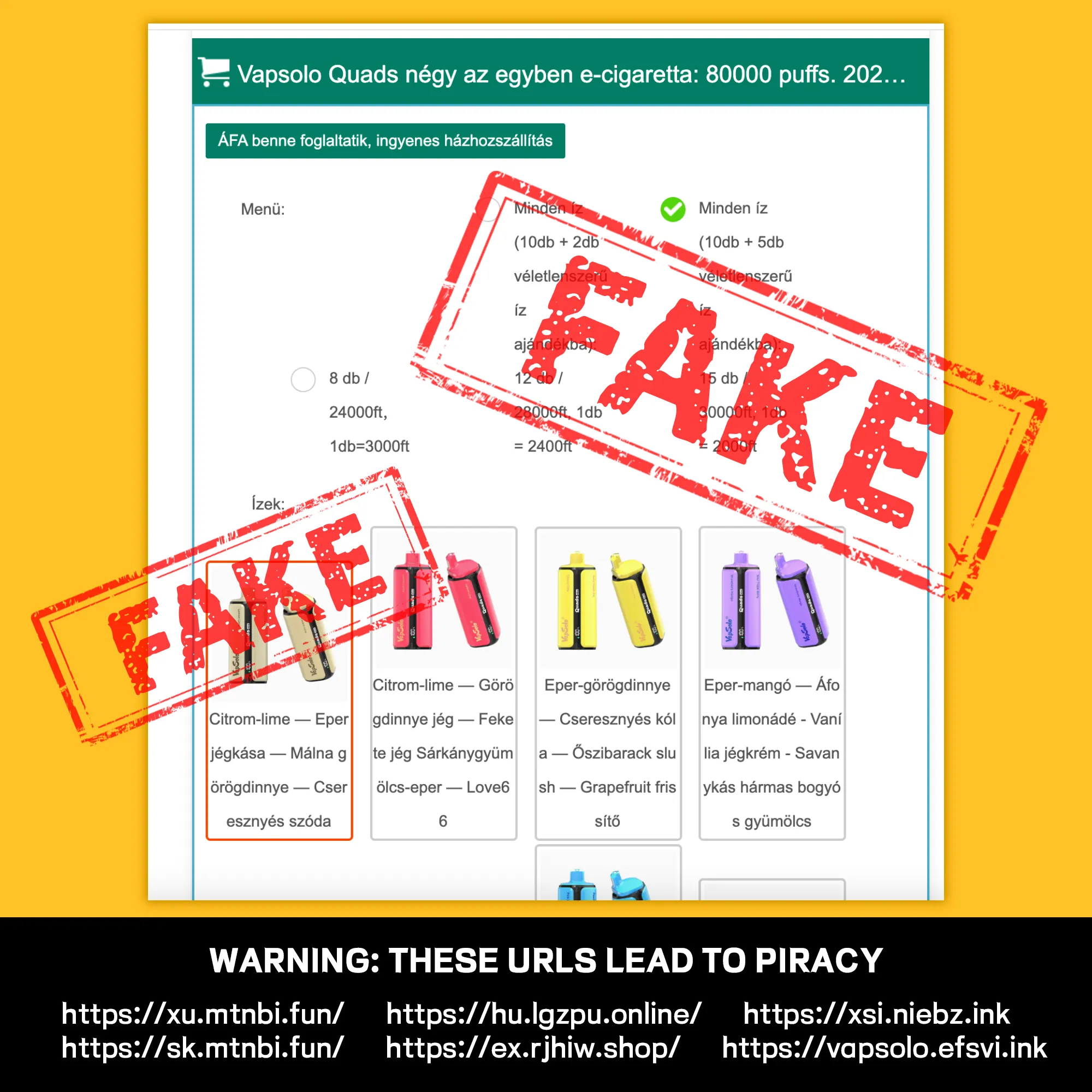 Scam website example 1