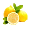 Lemon Limme