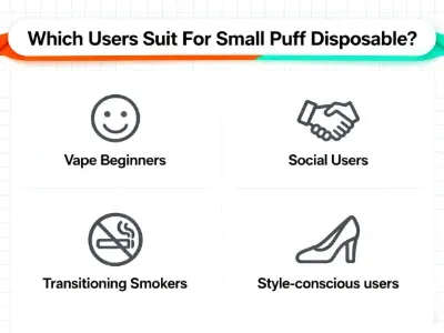 Image illustrating user suitability for small puff disposable vapes: vape beginners, social users, transitioning smokers, and style-conscious users.