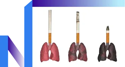 Improvements to Cardiovascular and Lung Function
