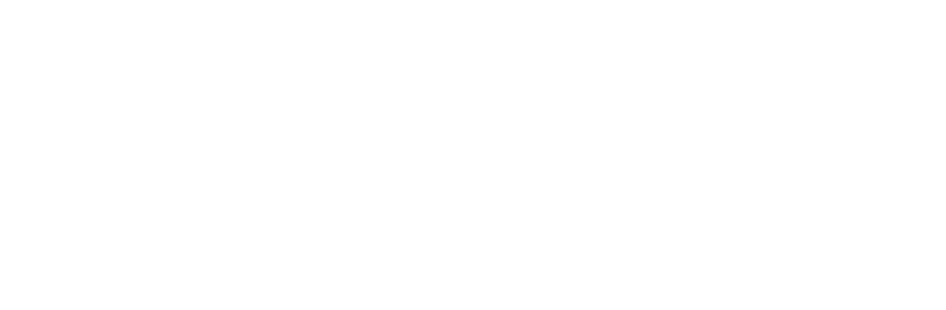 TINOO LLC