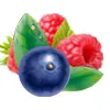 Grape Ice & Strawberry Kiwi