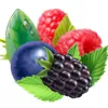 Mixed Berry