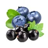 blueberry blackcurrant ice
