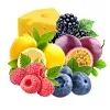 Blueberry Currant - Blackberry Red Raspberry - Cheese Cake - Lime Passion Fruit