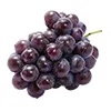 Grape Burst