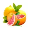 Pink Lemonade Ice