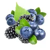 Blackberry Blueberry Ice