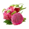 Blacke ice Dragon fruit