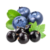 Blueberry Blackcurrant Ice