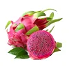 Blacke ice Dragon fruit