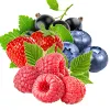 Mixed Berry
