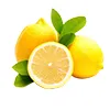 Lemon Lime