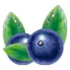 Blueberry Ice