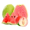 Erdbeere Eis & Mango Pfirsich Wassermelone