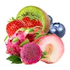 Pfirsich Eis & Drachenfrucht Eis & Mixobst