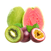 Kiwi-Passionsfrucht-Guave