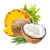 Ananas-Kokosnuss-Eis