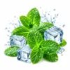 coolmint
